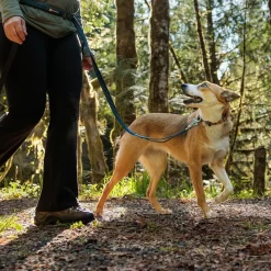 Ruffwear Roamer joustotalutin, River Rock Green