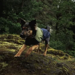 Ruffwear Sun Shower sadehaalari, Midnight Blue