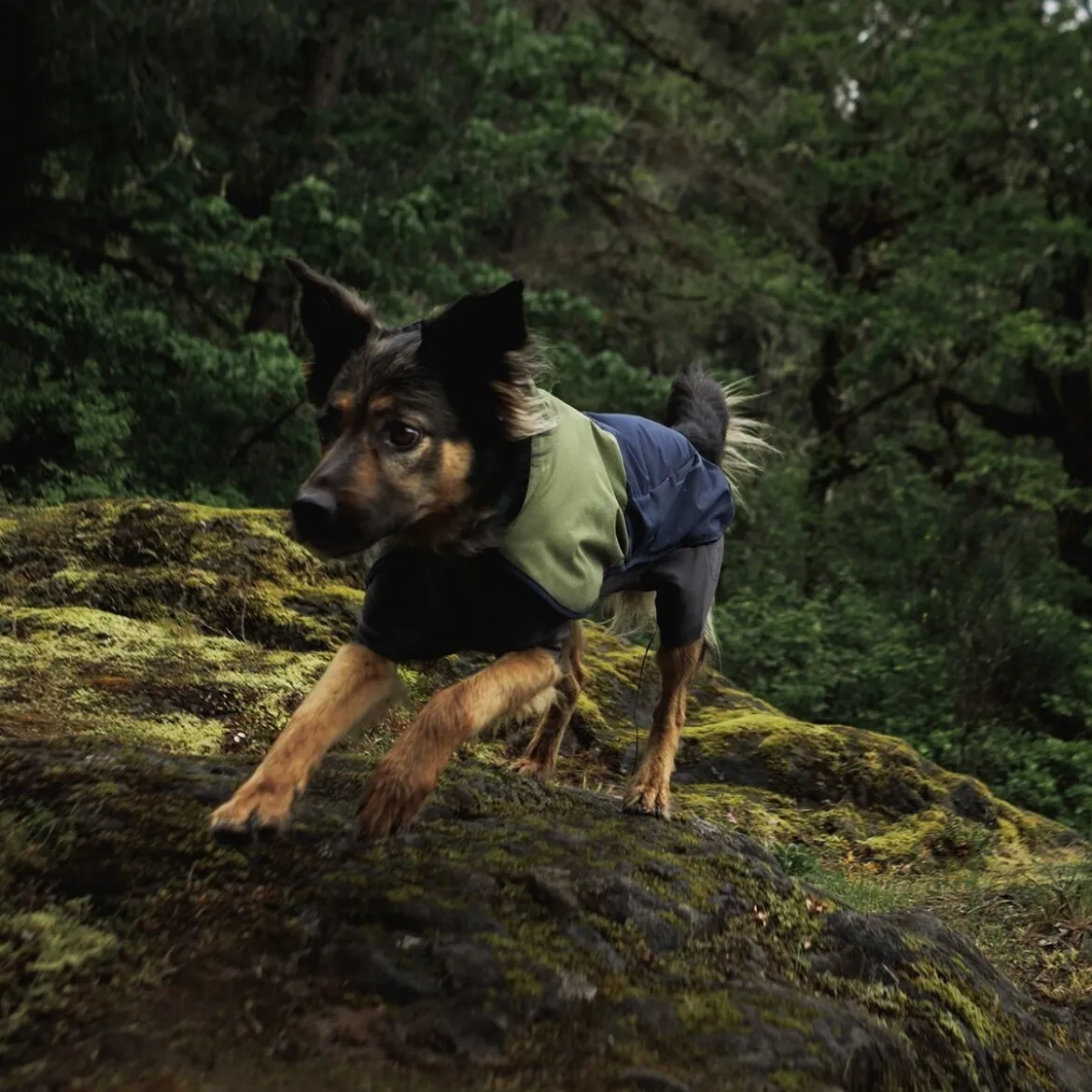 Ruffwear Sun Shower sadehaalari, Midnight Blue