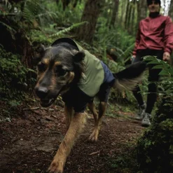 Ruffwear Sun Shower sadehaalari, Midnight Blue