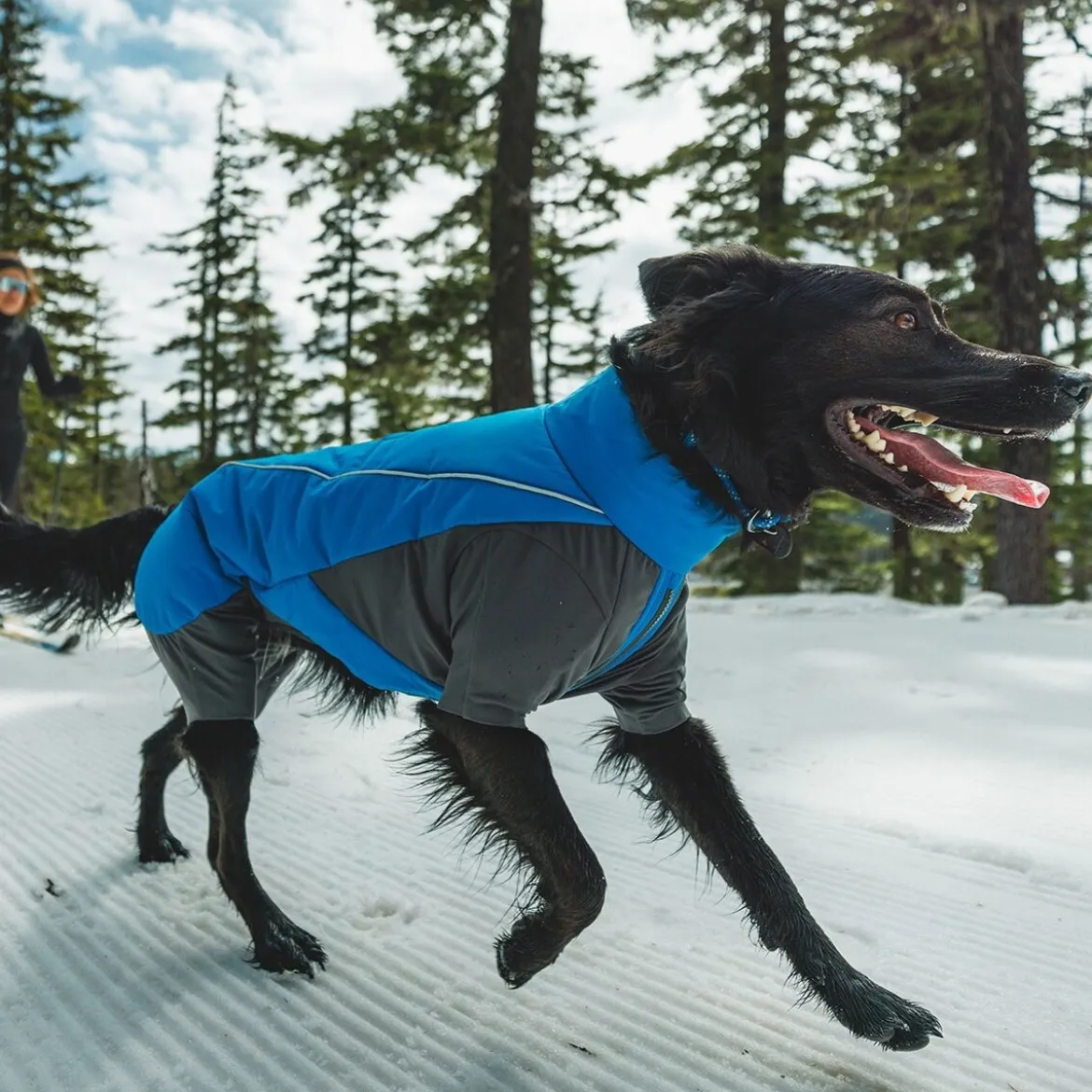 Ruffwear Vert koiran talvihaalari, sininen