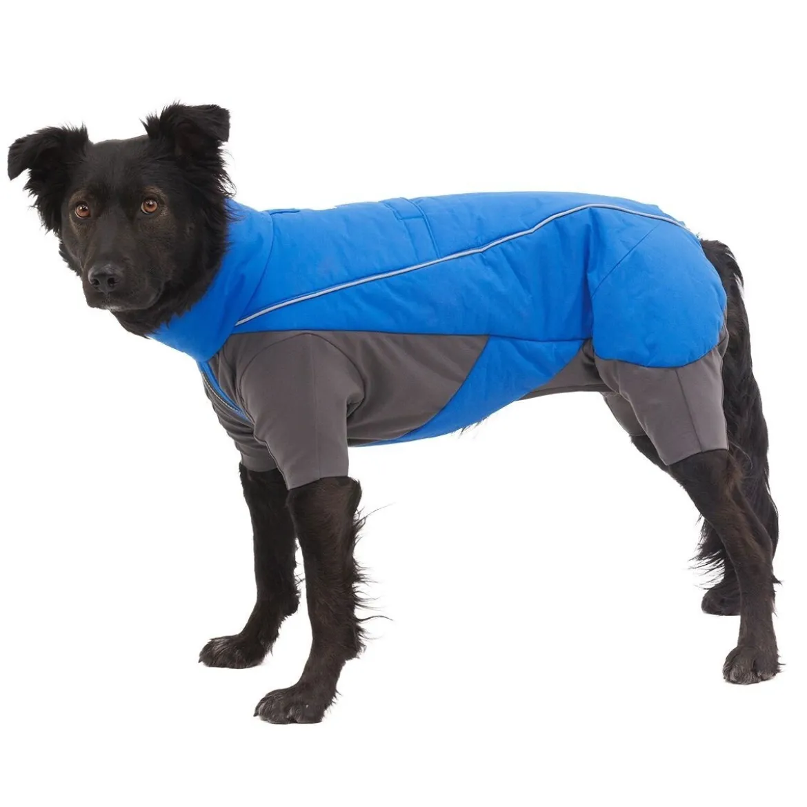 Ruffwear Vert koiran talvihaalari, sininen