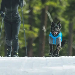 Ruffwear Vert koiran talvihaalari, sininen