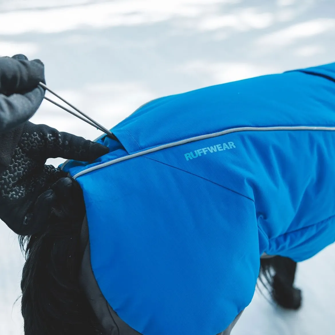 Ruffwear Vert koiran talvihaalari, sininen