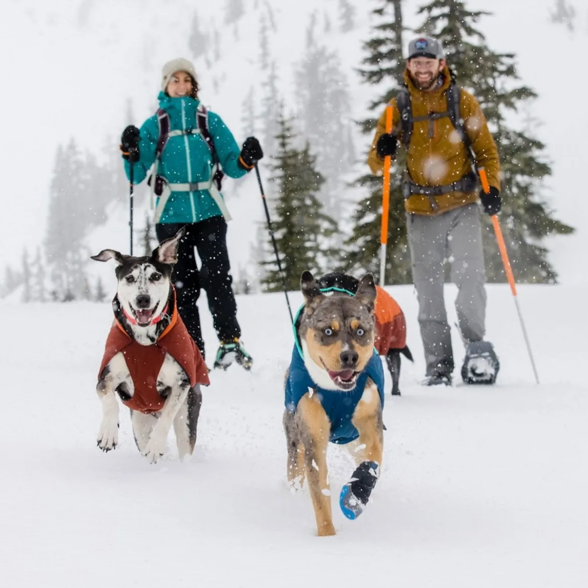 Ruffwear Vert koiran talvitakki, sininen