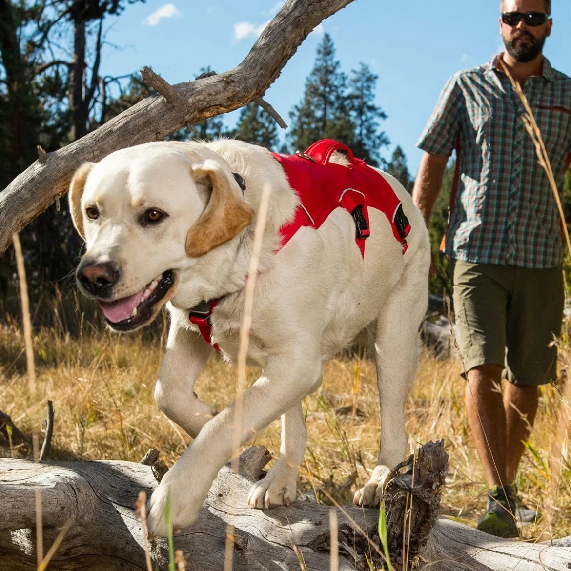 Ruffwear Webmaster valjaat, harmaa