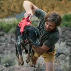 Ruffwear Webmaster valjaat, harmaa