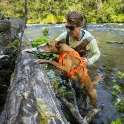 Ruffwear Web Master valjaat koiralle, Blaze Orange