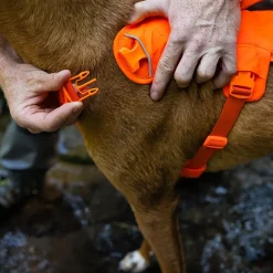 Ruffwear Web Master valjaat koiralle, Blaze Orange