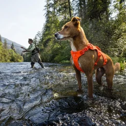 Ruffwear Web Master valjaat koiralle, Blaze Orange