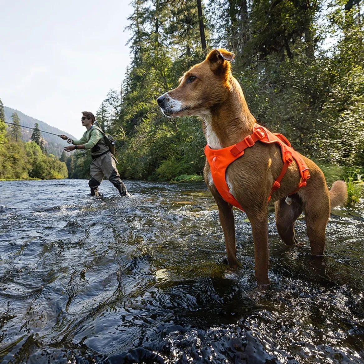 Ruffwear Web Master valjaat koiralle, Blaze Orange