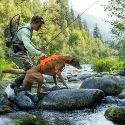 Ruffwear Web Master valjaat koiralle, Blaze Orange