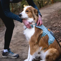Ruffwear Web Master, valjas River Rock Green