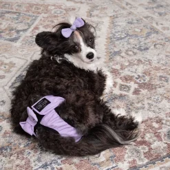 RuttuNuttu juoksupöksyt, Diva lila