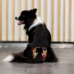 RuttuNuttu juoksupöksyt kietaisumalli, Kaleido Rush