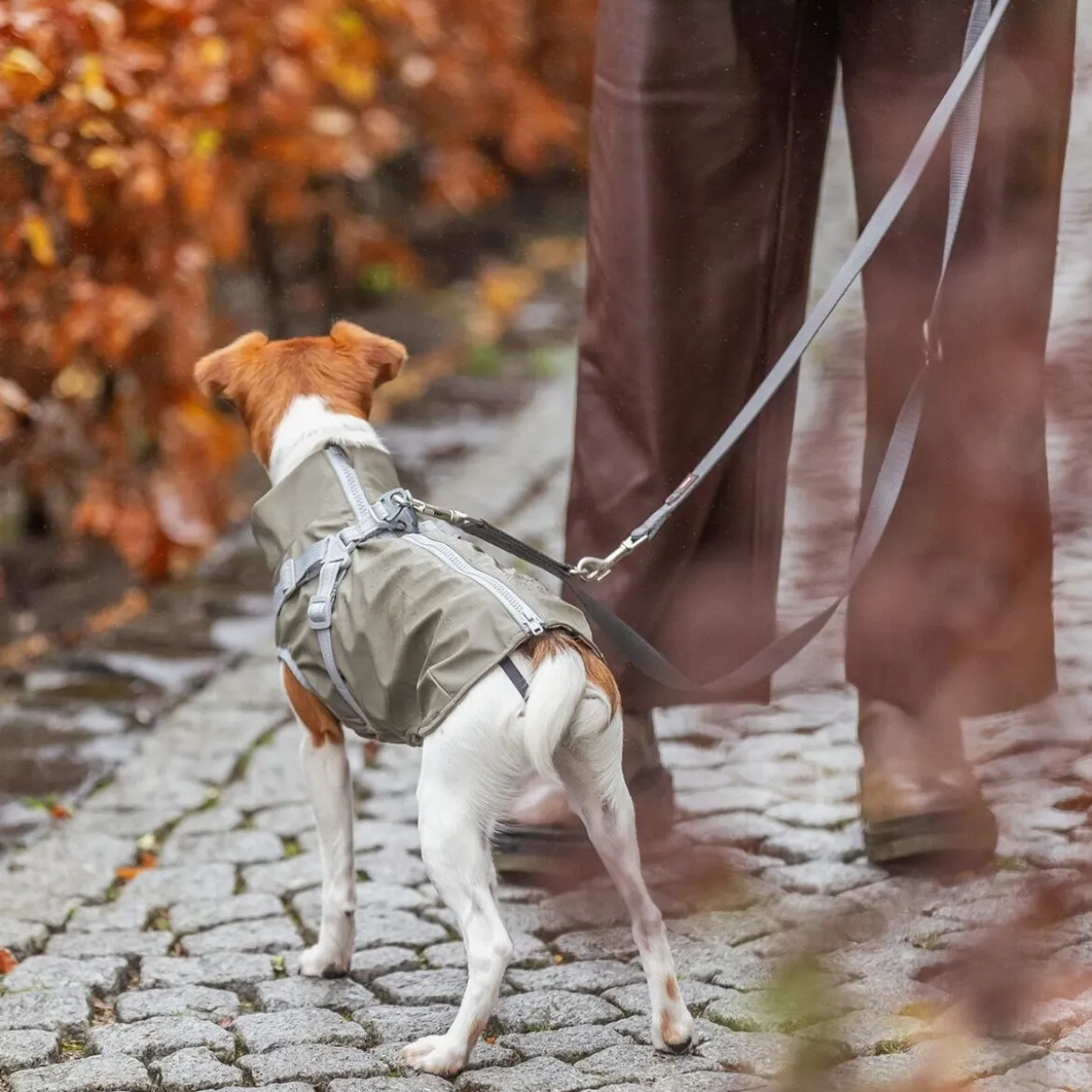 Sadetakki valjailla Trixie Pontis, oliivinvihreä