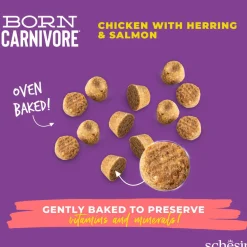 Schesir Born Carnivore kana & silli