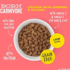 Schesir Born Carnivore kana & silli