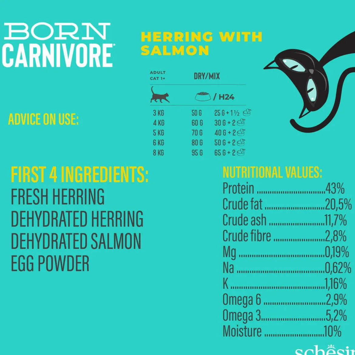 Schesir Born Carnivore silli & lohi