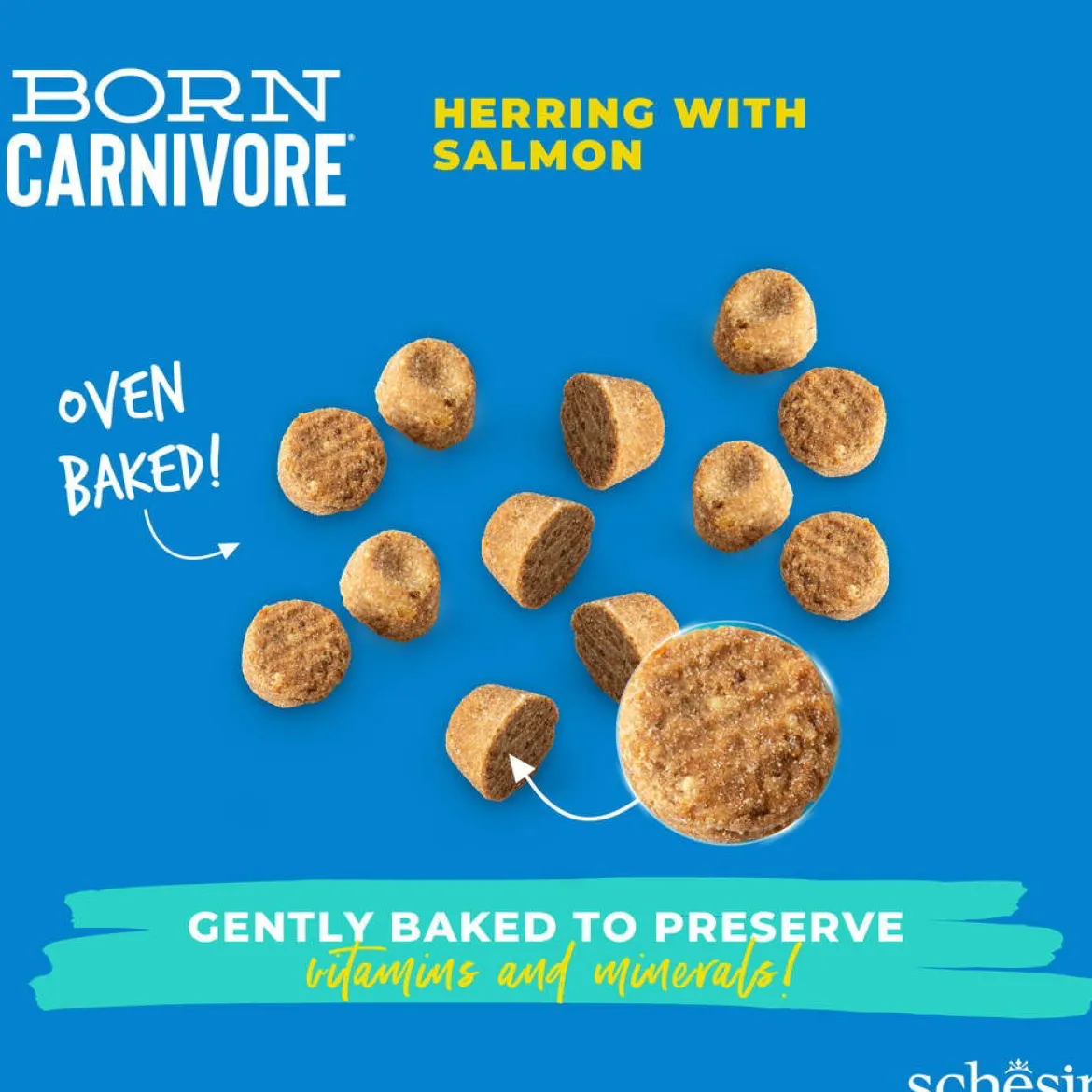 Schesir Born Carnivore silli & lohi