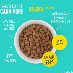 Schesir Born Carnivore silli & lohi