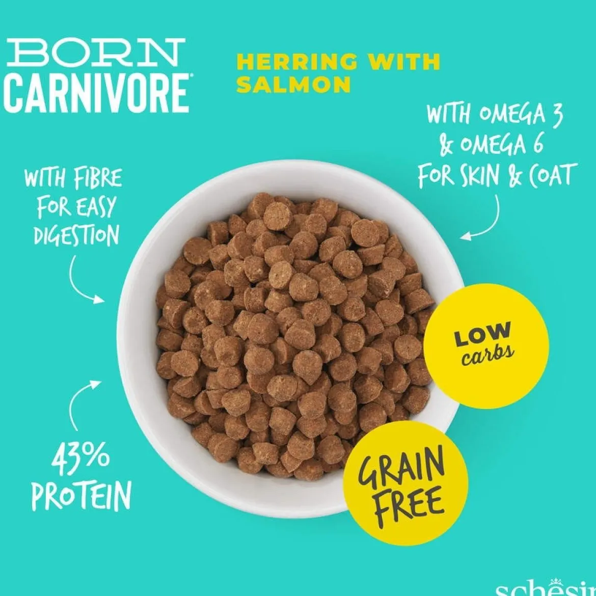 Schesir Born Carnivore silli & lohi