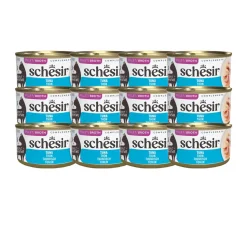 Schesir Tonnikala kastikkeessa, 70 g