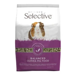Science Selective Guinea Pig