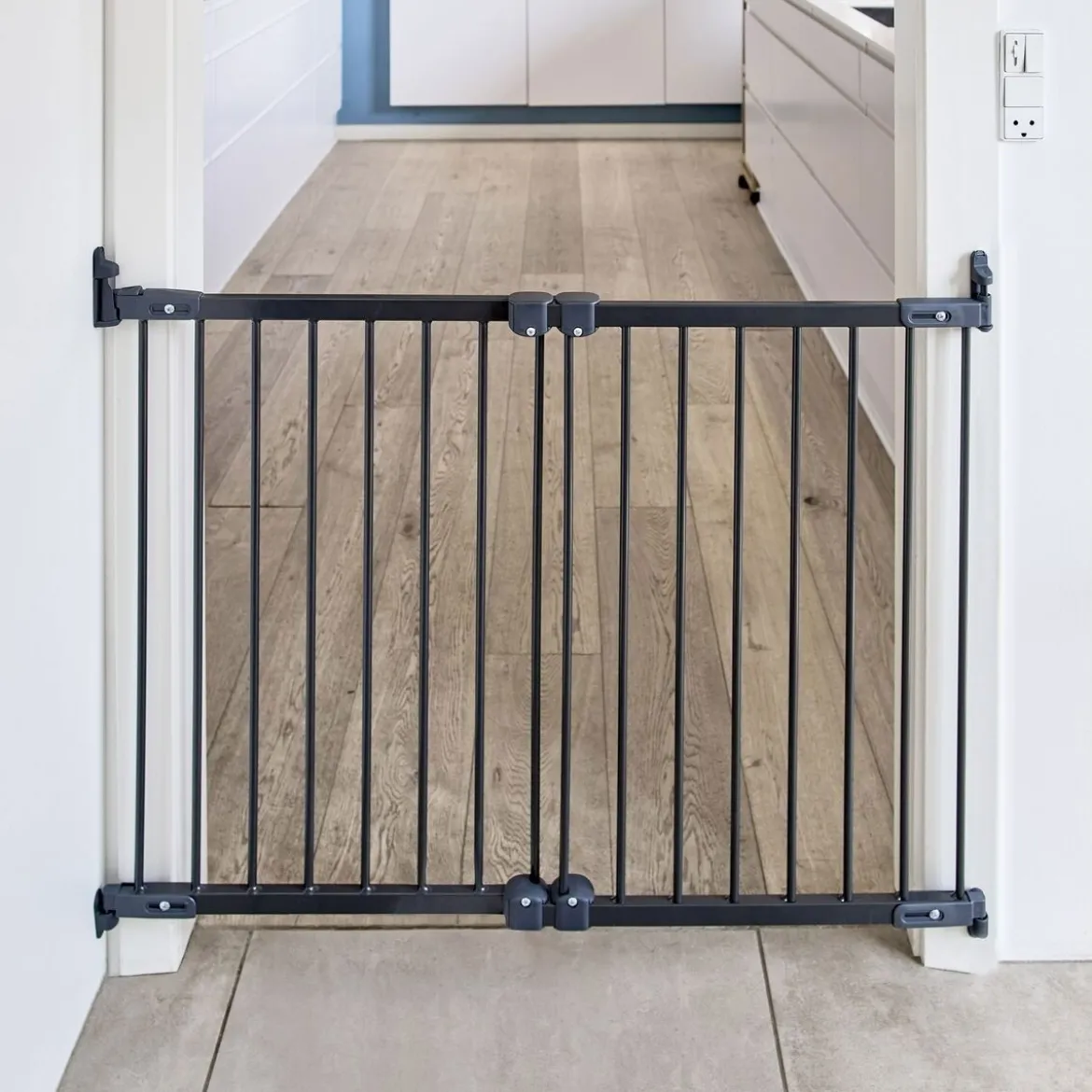 Säädettävä koiraportti DogSpace Molly 67-105 cm