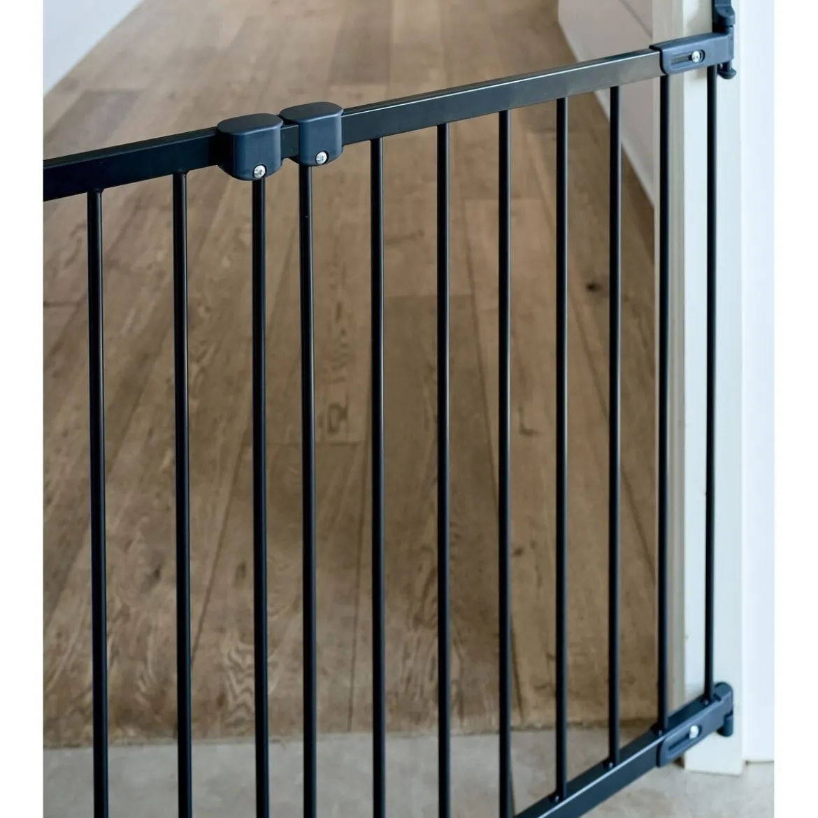 Säädettävä koiraportti DogSpace Molly 67-105 cm