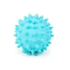 Siilipallo Itsy Bitsy 2 kpl 4 cm