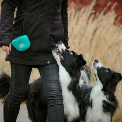 Silikoninen makupalapussi Pro Dog, turkoosi