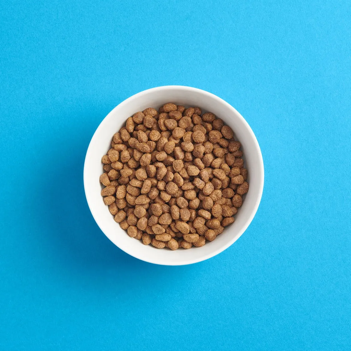 SMAAK kana pennulle