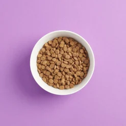 SMAAK steriloidun kissan ruoka
