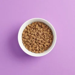 SMAAK steriloidun kissan ruoka