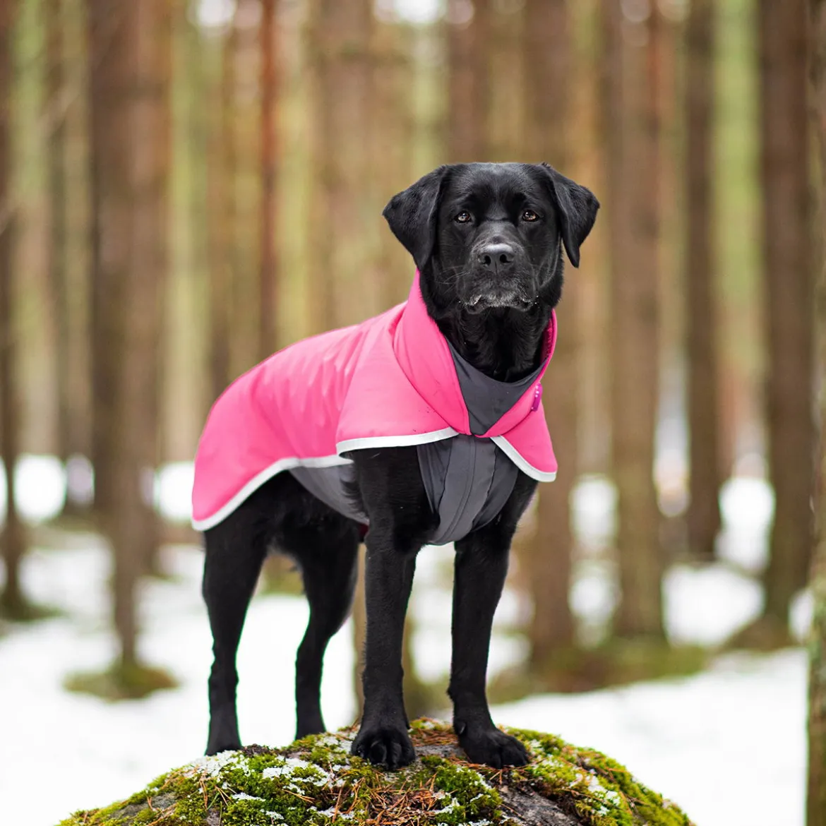 SporttiPomppa, pinkki