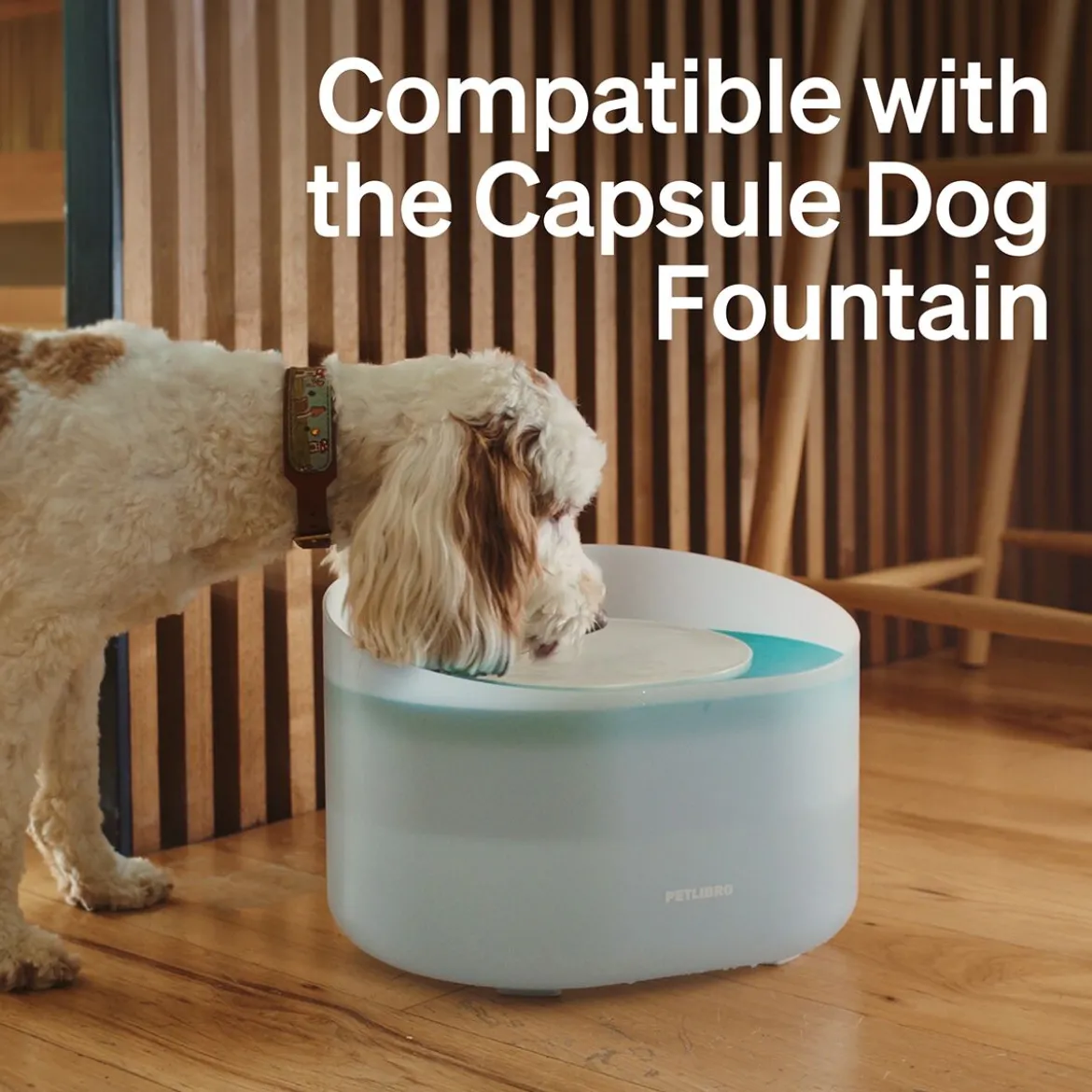 Suodattimet Petlibro Capsule -koiran juoma-automaattiin