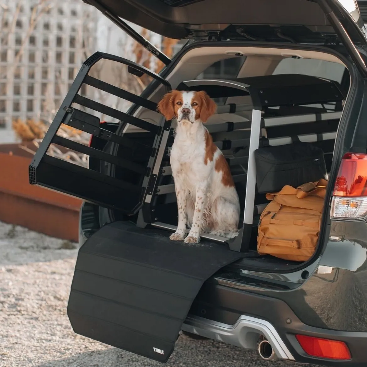 Thule Allax Autohäkki