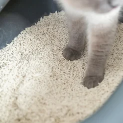 Tofu kissanhiekka paakkuuntuva Trixie