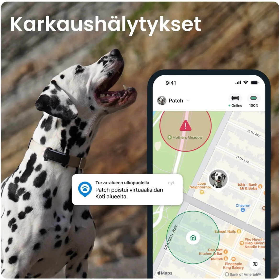 Tractive GPS koiralle DOG 6, musta