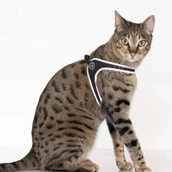 Tre Ponti Easy Fit valjaat, musta