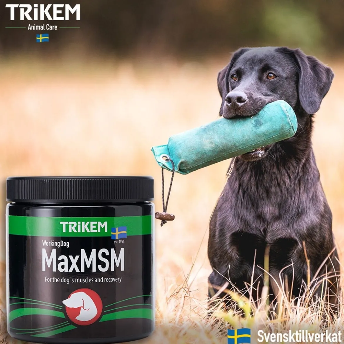 TRIKEM WorkingDog Max MSM+