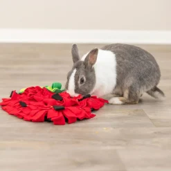Trixie Aktivointimatto pieneläimille, mansikka