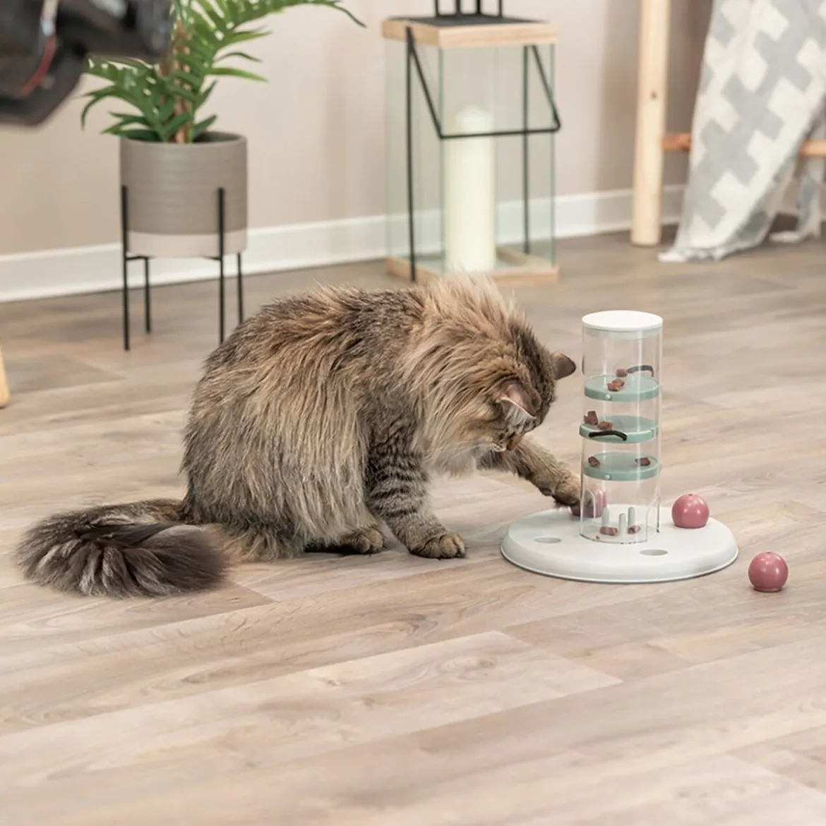 Trixie Cat Activity Gambling Tower