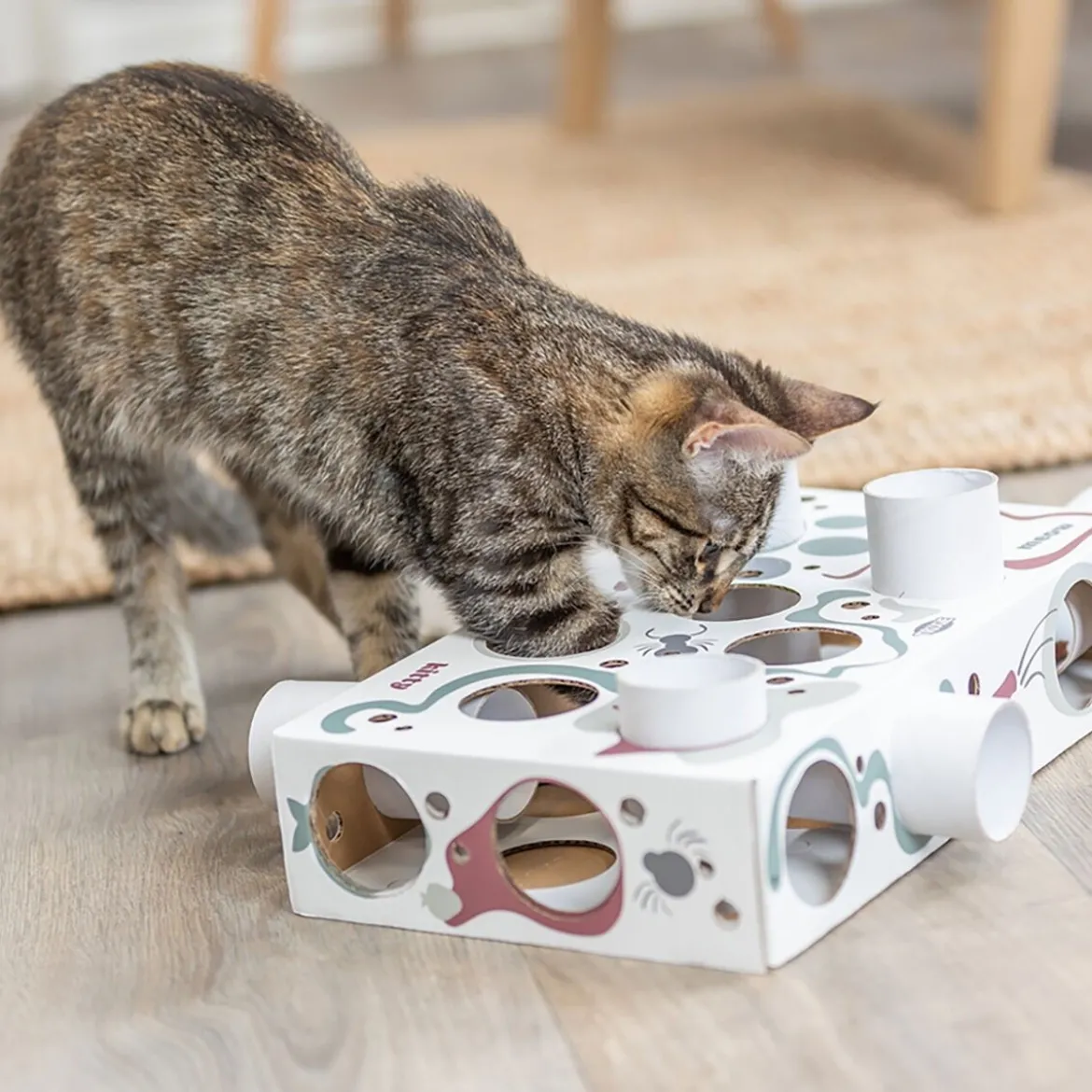 Trixie Cat Activity Paws'n'Treats Box