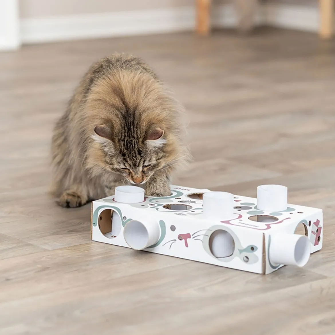 Trixie Cat Activity Paws'n'Treats Box