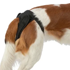 Trixie Comfort mesh juoksuhousut tarralla