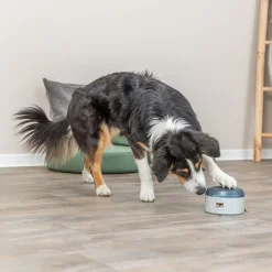Trixie Dog Activity Buzzer