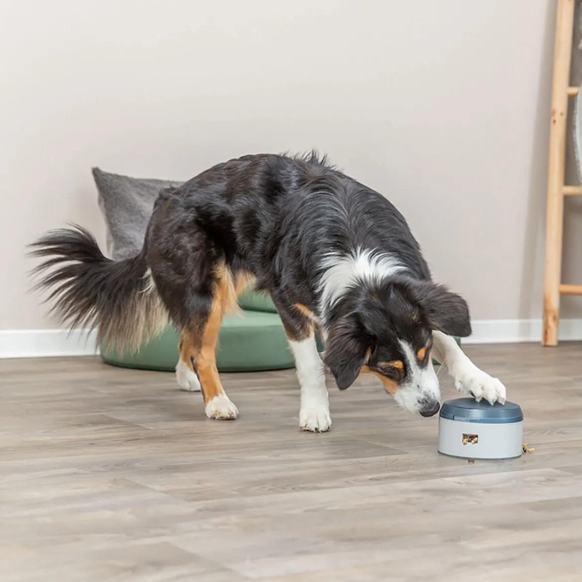 Trixie Dog Activity Buzzer