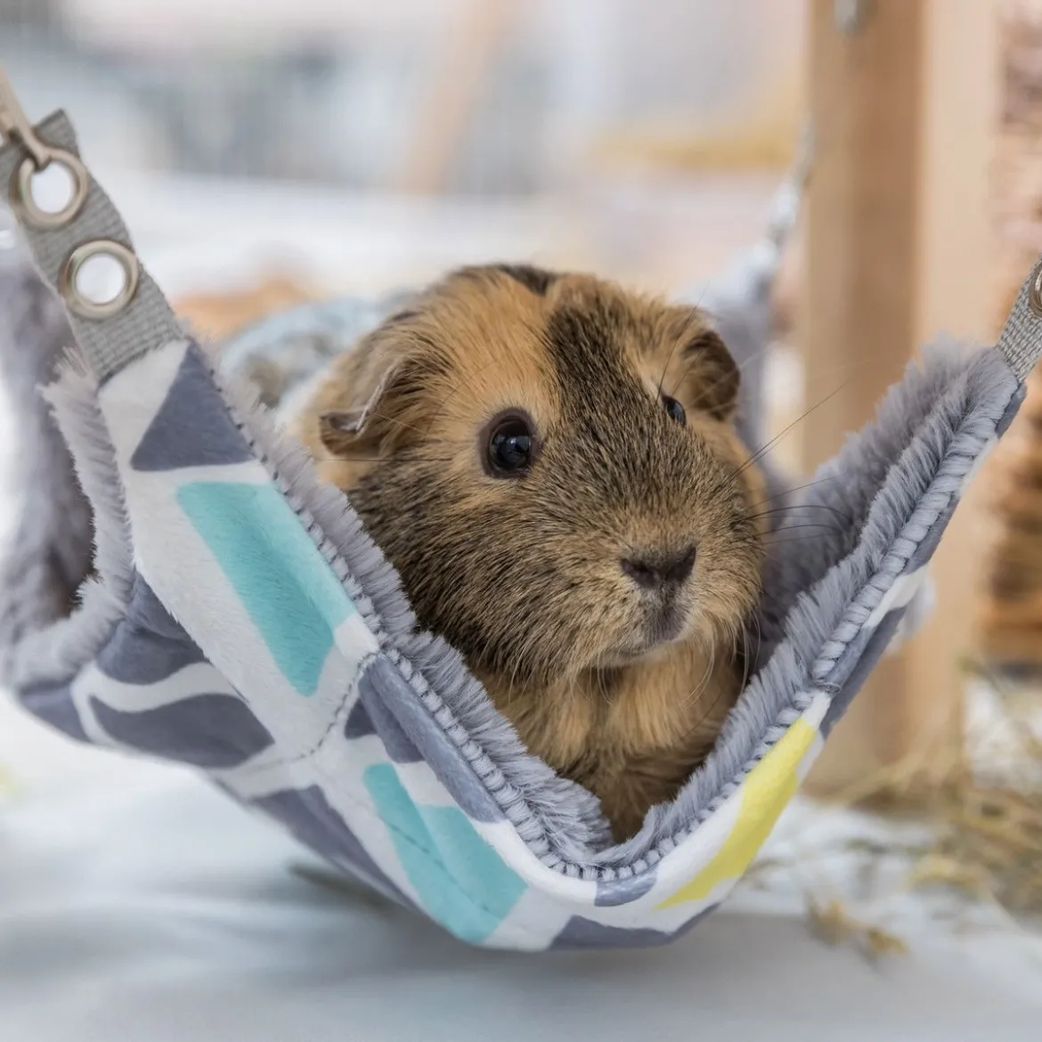 Trixie pieneläimen katos riippumatolla